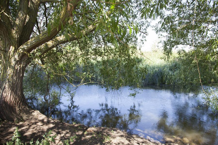 Abbey Farm Glamping & Cottage Thame Pokoj fotografie